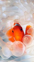 descargar wallpaper de animales